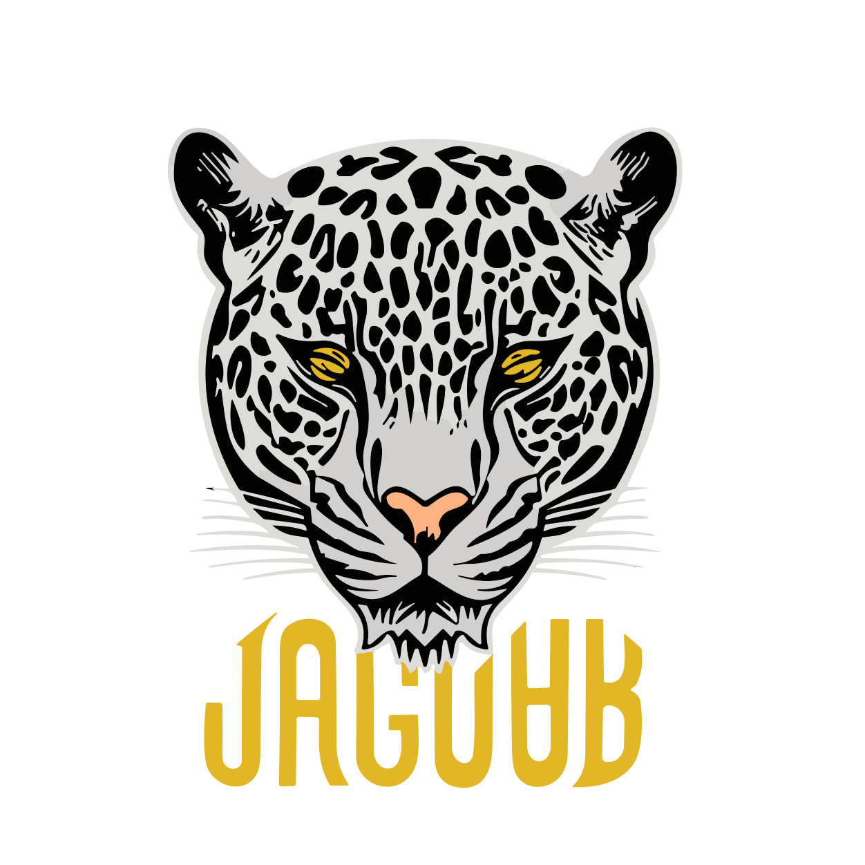 JAGUARTS.COM